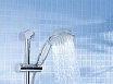 Душевая лейка Grohe New Tempesta Rustic 27608000