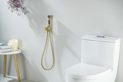 Смеситель Aquatek Европа AQ1020BG с гигиеническим душем, шлифованное золото Смеситель Aquatek Европа AQ1020BG с гигиеническим душем, шлифованное золото