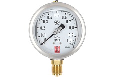 Манометр ДМ 2 100 Р (0-1) МПа, кл.1.0, М20x1.5 BD 1152100007