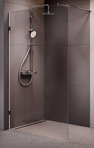 Душевая перегородка Am.Pm X-Joy W94WI-120-F1-MTE 120x195 черный матовый, прозрачное