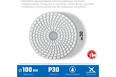Алмазный гибкий шлифовальный круг для мокрого шлифования Зубр 100 мм, №30 29866-030