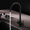 Смеситель для кухни Am.Pm X-Joy S F85B07722 с каналом, черный