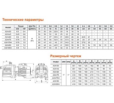 Самовсасывающий струйный насос LEO Ajm 45 1109