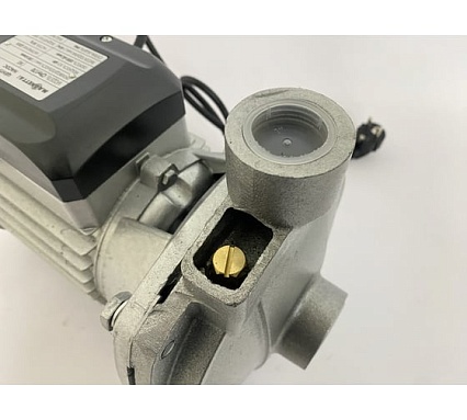 Центробежный насос Magnetta CPm170
