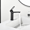 Смеситель для раковины Black&White Gravity GF-7109-MB черный матовый