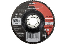 Круг лепестковый Professional 125х22.2 мм, P40, цирконий Gigant GNT-P40
