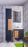 Мебель для ванной Бриклаер Форест 50 см дуб золотой/антрацит