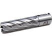 Сверло корончатое HSS (31х50 мм; Weldon 19) AT-S BS5031