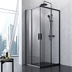 Душевой уголок Am.Pm Gem S W93G-404-100280-BT 100x80 прозрачный, черный матовый