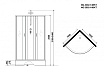 Душевая кабина Niagara NG 3502-14BKT 100x100 стекло тонированное, без крыши, тропический душ