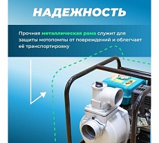 Мотопомпа Eco WP-1204C