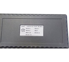 Набор метчиков и плашек Туламаш 16 шт, М3-М12 ТМ 92897