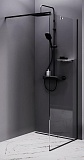 Душевая перегородка Am.Pm Func W84WI-80-F1-BTE 80x200 черный матовый, прозрачное