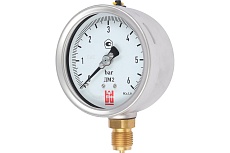 Манометр ДМ 2 100 Р (0-6) бар, кл.1.0, G1/2&quot; BD 1152100013