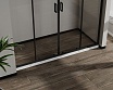 Душевая дверь Vincea Сити (City) VDS-5CT2170CLB 170x195 черный, прозрачная