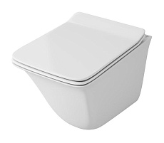 Подвесной унитаз Owl 1975 Eter Ruta-H безободковый, с микролифтом