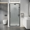 Душевая дверь Niagara Nova 100x195 прозрачное, графит NG-35-10AGR