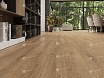 SPC ламинат Alpine Floor Solo Plus Ларгетто 1220x183x4 мм, ECO 14-301-R