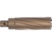 Сверло корончатое Karnasch 36x110 HARD-LINE 20.1660N-36