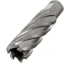 Сверло кольцевое (23х55 мм; HSS; Weldon 19) Euroboor HCL.230