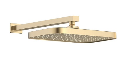Душевой набор Vincea VSFW-4211RBG двухрежимный, брашированное золото