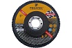 Круг лепестковый торцевой 125х22 мм Pegatec PSRFD125BCA-60