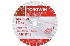 Диск алмазный по железобетону 600 576х60/50/35/25.4 мм, Z38 TORGWIN T994890