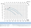 Насос SAER BP3 400V 100548185