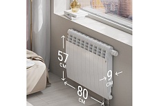 Радиатор Royal Thermo BiLiner 500 /Bianco Traffico VR - 10 секций НС-1196677