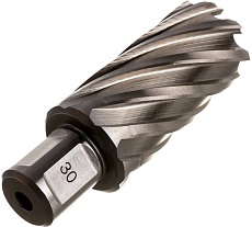 Сверло кольцевое (30х55 мм; HSS; Weldon 19) Euroboor HCL.300