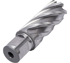 Фреза кольцевая HSS (24x55 мм; Weldon 19) Rotorica RT.4215024