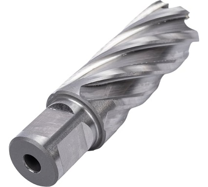 Фреза кольцевая HSS (24x55 мм; Weldon 19) Rotorica RT.4215024