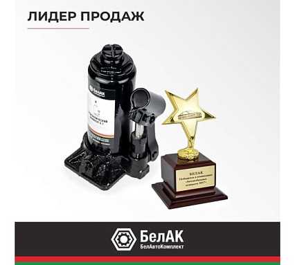 Домкрат 6 тонн в кейсе БелАК БАК.10043