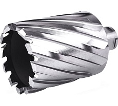 Фреза кольцевая №47 (53х55/88 мм; WELDON19; HSS M2) Профоснастка 40101047