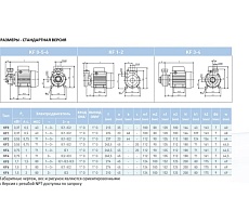 Насос SAER KF 1 230V 100548256