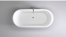 Акриловая ванна Black&White Swan SB109 170x80, черный
