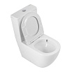 Чаша для унитаза BelBagno SFERA-TOR BB2141CP-TOR/SC безободковая с крышкой