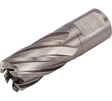 Сверло кольцевое (19х30 мм; HSS; Weldon 19) Euroboor HCS.190