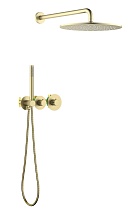 Душевой набор Timo Saona SX-2359/17SM матовое золото