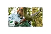 Цепная электрическая пила Bosch universalchain 35 06008B8303