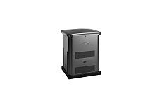Генератор 6 кВт 6000, двигатель B&S Intek /550 cc/, 141 кг Briggs&Stratton 040494