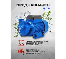 Насос вихревой поверхностный Forsage (230В, 50Гц, 370Вт, 30л/мин) (обмотка CU) F-QB60 COPPER(61162)