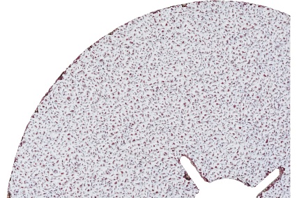 Круг фибровый XF733 (1 шт, 125x22 мм, P36) VSM 004975