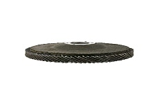 Круг лепестковый 125 мм, P60, оксид алюминия, 10 шт BETACORD 325.0060