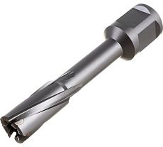 Фреза кольцевая TCT (14x55 мм; Weldon 19) Rotorica RT.4225014