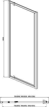 Душевая дверь Aquatek AQ ARI PI 09020CH 90x200, прозрачное, хром