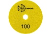 Алмазный гибкий шлифовальный круг Черепашка NEW LINE 100 мм, № 100, сухая шлифовка TRIO-DIAMOND 339010