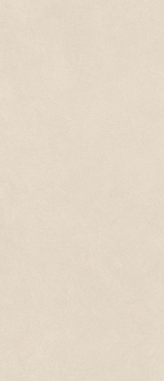 Керамогранит Atlas Concorde Boost Natural Kaolin 50X120 см, A64P