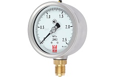 Манометр ДМ 2 100 Р (0-2.5) МПа, кл.1.0, М20x1.5 BD 1152100008