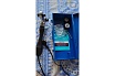 Аппарат для сварки пластиковых труб Aquaprom АСП-2 М25/4 00-00016506